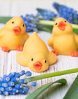 Chicks