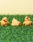 Chicks